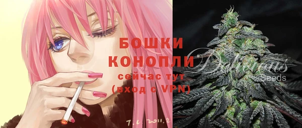 стафф Навашино
